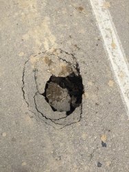 Photo of this report