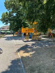 Photo of this report