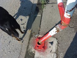 Photo of this report