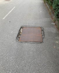 Photo of this report