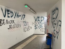 Photo of this report