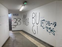 Photo of this report