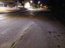 Photo of this report