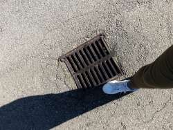 Photo of this report