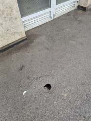 Photo of this report
