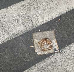 Photo of this report