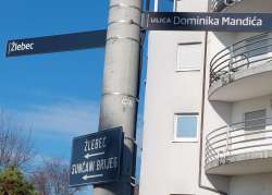 Photo of this report