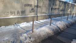 Photo of this report