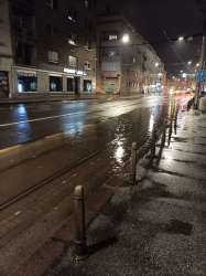 Photo of this report