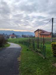 Photo of this report