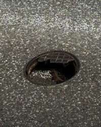 Photo of this report