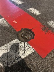 Photo of this report