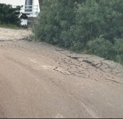 Photo of this report