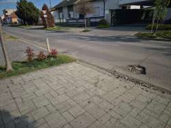 Photo of this report