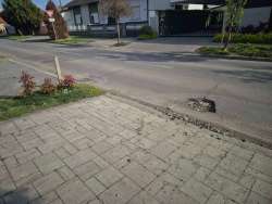 Photo of this report