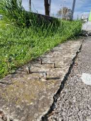 Photo of this report