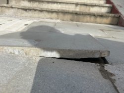 Photo of this report