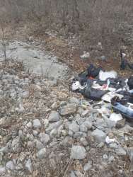 Photo of this report