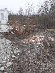 Photo of this report