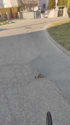 Photo of this report