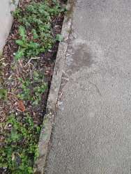 Photo of this report