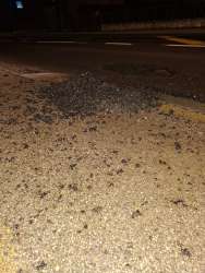 Photo of this report